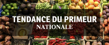 Illustration Tendance du primeur nationale novembre 2023