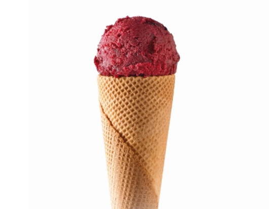 Sorbet - Cassis baies de cassis 2.5L x1