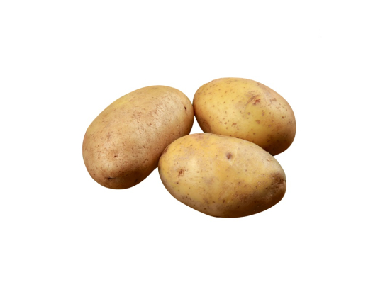 Pomme de terre Agria lavée calibre 55+ Cat1 10Kg