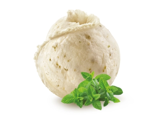 Sorbet - Menthe avec feuilles de menthe 2.5L x1