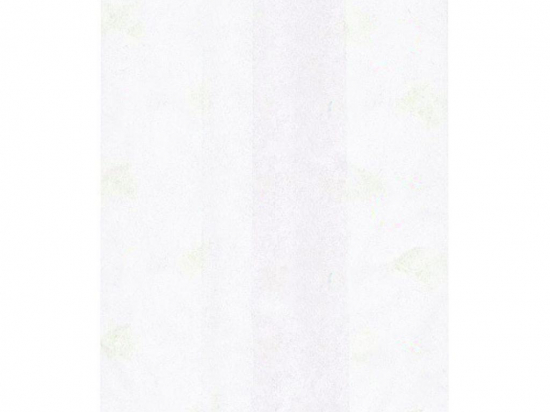 Pochette hamburger blanche (120x70x180mm) (x1000)