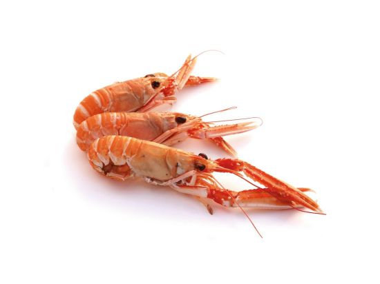 Langoustine 20/30 Ecosse x3Kg