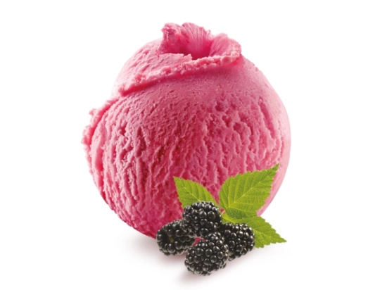 Sorbet - Mûre 2.5L x1