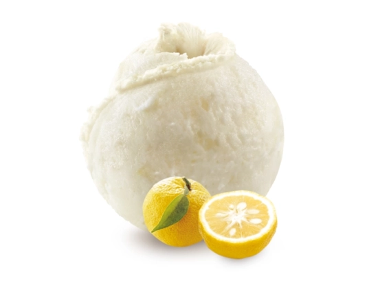 Saveurs d'Exception - Sorbet yuzu 2.5L x1