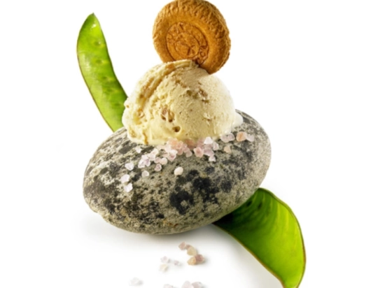 Glace - Sablé breton 2.5L x1