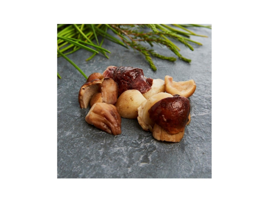 Cèpe en morceaux 1Kg - Surgelé