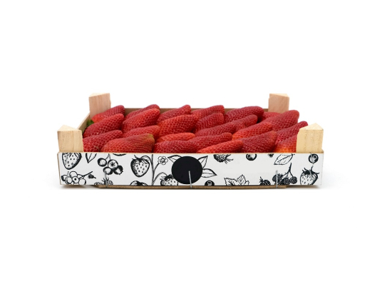 Fraise ronde plateau 1Kg