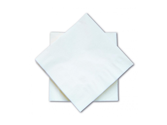 Serviette 2 plis blanche (40x40cm x100)