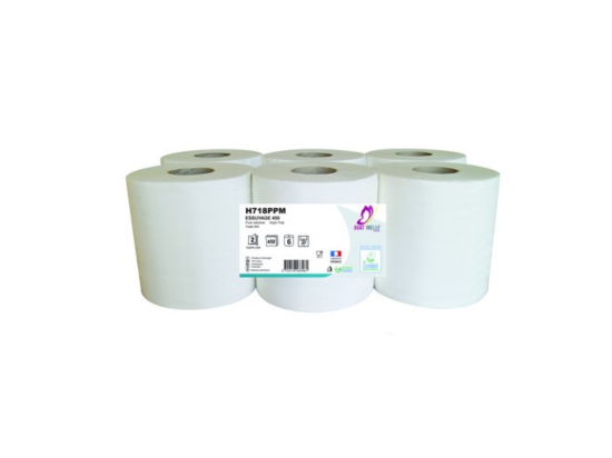 Essuie-tout blanc 2plis Ecolabel (6 rouleaux /450F) - GLOBAL HYGIÈNE