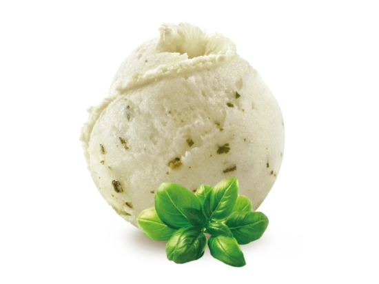 Sorbet - Basilic 2.5L x1 - Saveurs du Jardin
