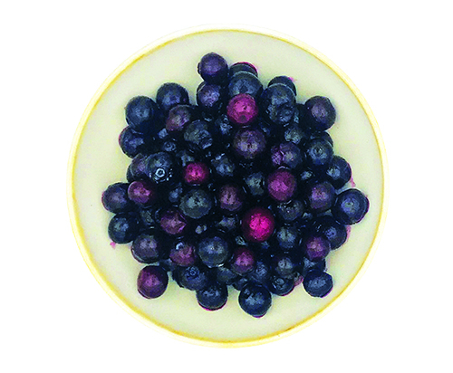 Myrtilles IQF (1Kg x5) - FRUITS ROUGES & CO - Surgelé