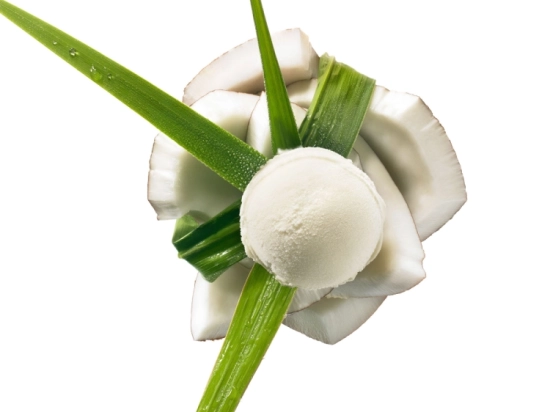 Sorbet - Noix de coco 2.5L x1