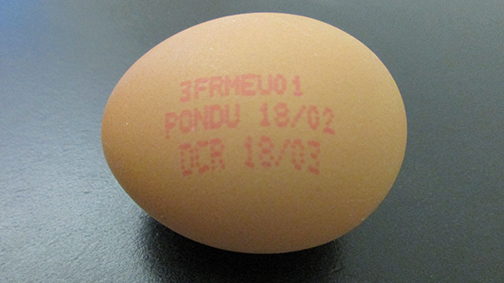 Oeufs vrac très gros SOL (+73Gx200)/15KG