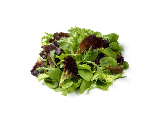Salade - Jeune pousse tendre 4G (250g x8)