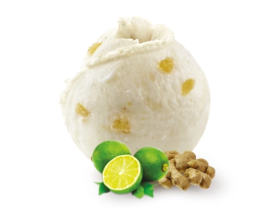 Glace - Coco curry 2.5L x1