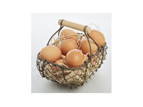 Oeuf standard moyen (53/63g x90) France
