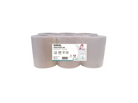 Essuie-mains rouleaux DC 2plis Eco col 20x30cm (450F x6) - GLOBAL HYGIENE