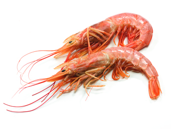 Crevettes entières crues sauvages 10/20 pièces/Kg 2Kg - Surgelé
