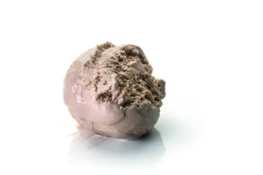 Crème glacée noisette à la noisette Vocciola Piemont IGP 2.5L - mdd - Surgelé