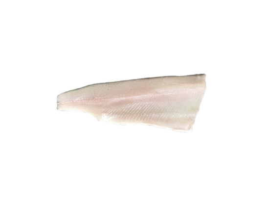 Filet d'omble fontaine a/p 100g+ (3 ou 5Kg) - Pisciculture PETIT JURA