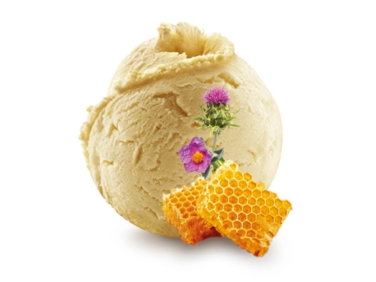 Sorbet - Miel de fleurs de garrigue 2.5L x1