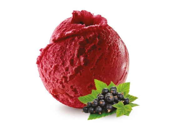Sorbet cassis BIO 2.5L x1