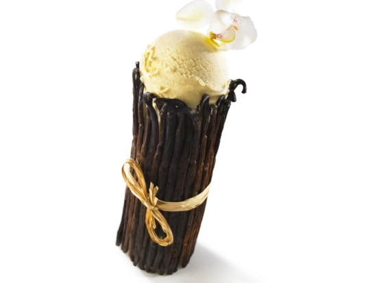 Glace - Vanille façon crème anglaise 2.5L x1