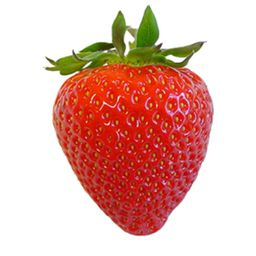 Fraise barquette filmée 500g Cat1