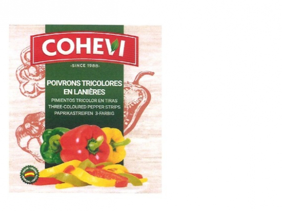 Poivrons tricolores en lanières boite 5/1 - COHEVI