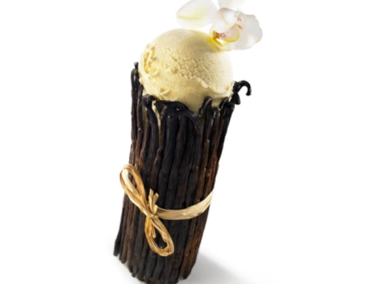 Glace - Vanille Madagascar 2.5L x1