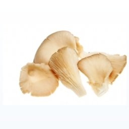 Champignon pleurote Cat1 (au colis de 2Kg)