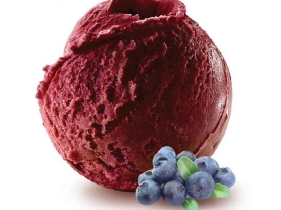 Sorbet - Myrtille 2.5L x1
