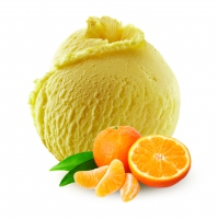 Sorbet mandarine de Sicile BIO 2.5L x1