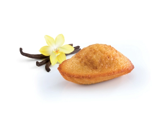 Pause gourmande - Petite madeleine de Commercy vanille craquante 18g x140
