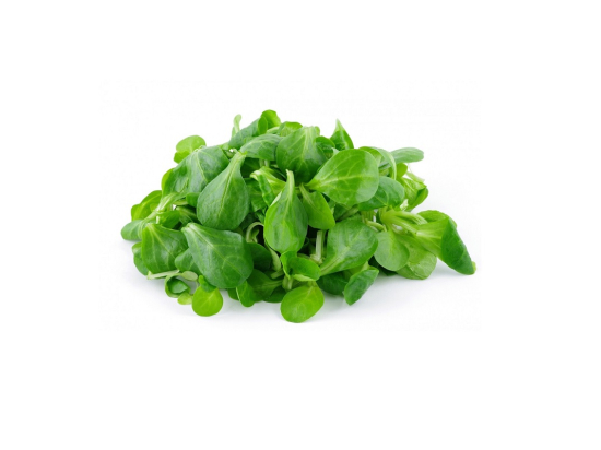 Salade - Mâche 4G HVE (250g x8) FR