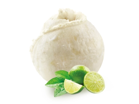 Sorbet - Citron vert 2.5L x1