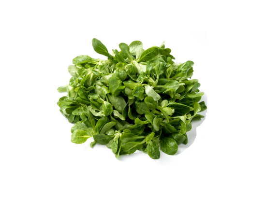 Salade - Mâche (500g x2)