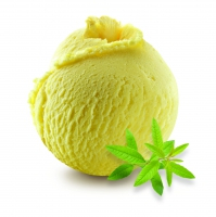 Sorbet - Verveine 2.5L x1