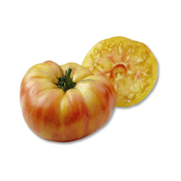 Tomate ananas France C1