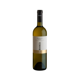 Moscato d'Asti DOCG 75cl - BLANC - CA BIANCA