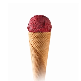Sorbet - Cassis baies de cassis 2.5L x1