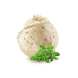 Sorbet - Menthe avec feuilles de menthe 2.5L x1