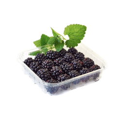 Mure Cat1 (barquette 125g)