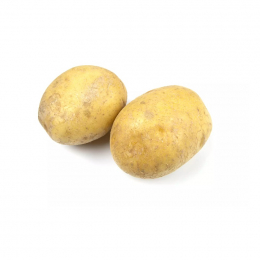Pomme de terre grosse taille GT Bintje (au sac de 25Kg)