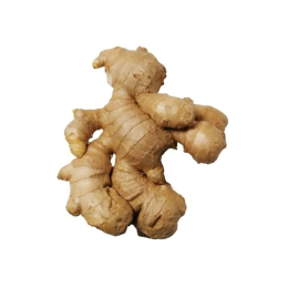 Gingembre Cat1 (au Kg/au détail)