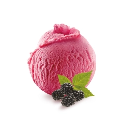 Sorbet - Mûre 2.5L x1