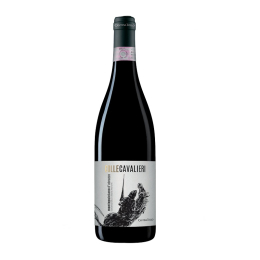 Montepulciano colle cavalieri d'Abruzzo DOC 75cl