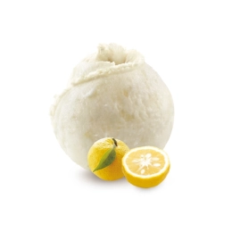 Saveurs d'Exception - Sorbet yuzu 2.5L x1