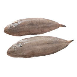 Sole entière 3/500 ANE Pavillon de France 3Kg