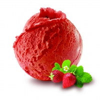 Sorbet fraise BIO 2.5L x1